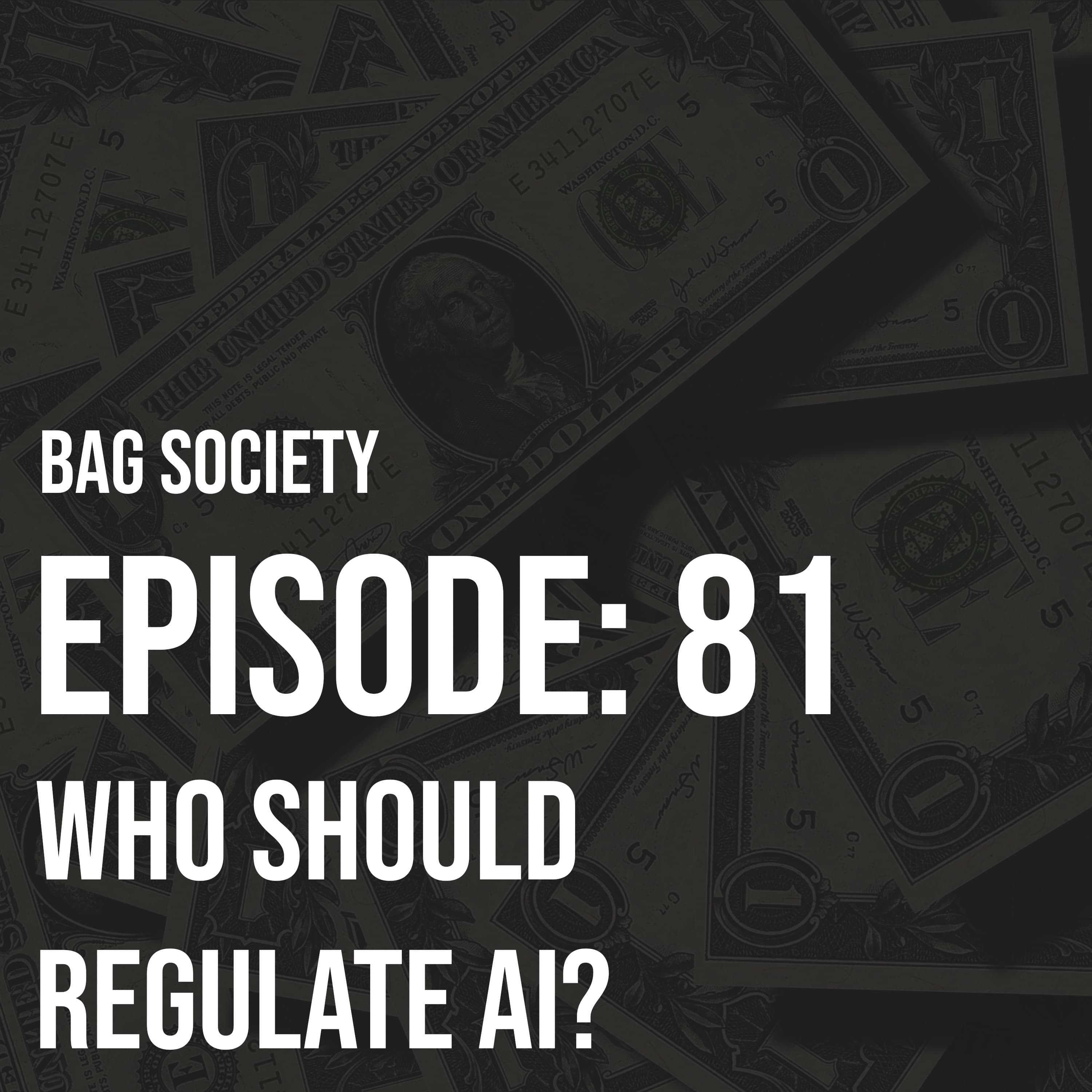 Thumbnail for Who Should Regulate AI?