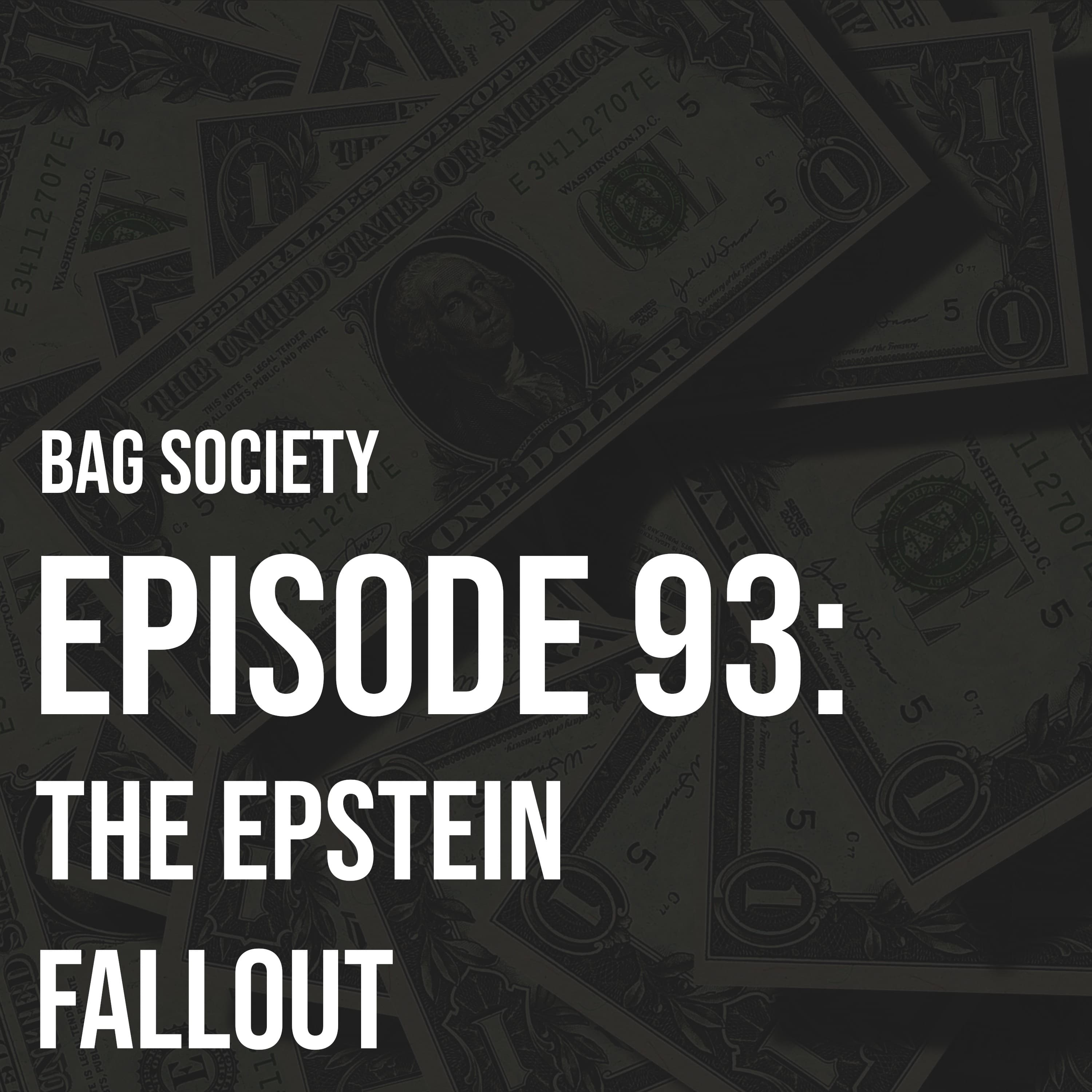 Thumbnail for The Epstein Fallout